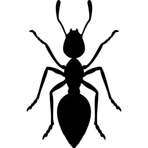 ant | Phenomalawn ant